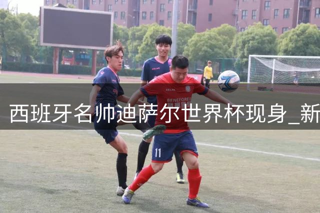 西班牙名帅迪萨尔世界杯现身 新身份引关注